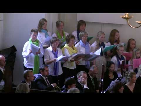 ArtTalentsCom : Silkeborg Choirs - Se Det Summer a...