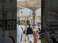 #madina #madinasharif #naatsharif #naat #love
