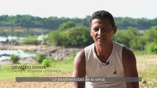 El bosque en llamas - Capítulo 2 Brasil - Español