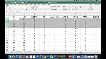 Treating Straight lining (Likert Scale) in Microsoft Excel Before Transferring the Data in SPSS