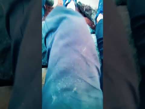 দিঘা ট্রিপ #Treding #short #Newshort #ViralShort