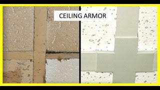 Item # 4815-4820  Ceiling Armor