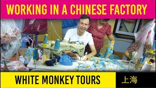 Working in Chinese Factory - WHITE MONKEY JOBS?!?