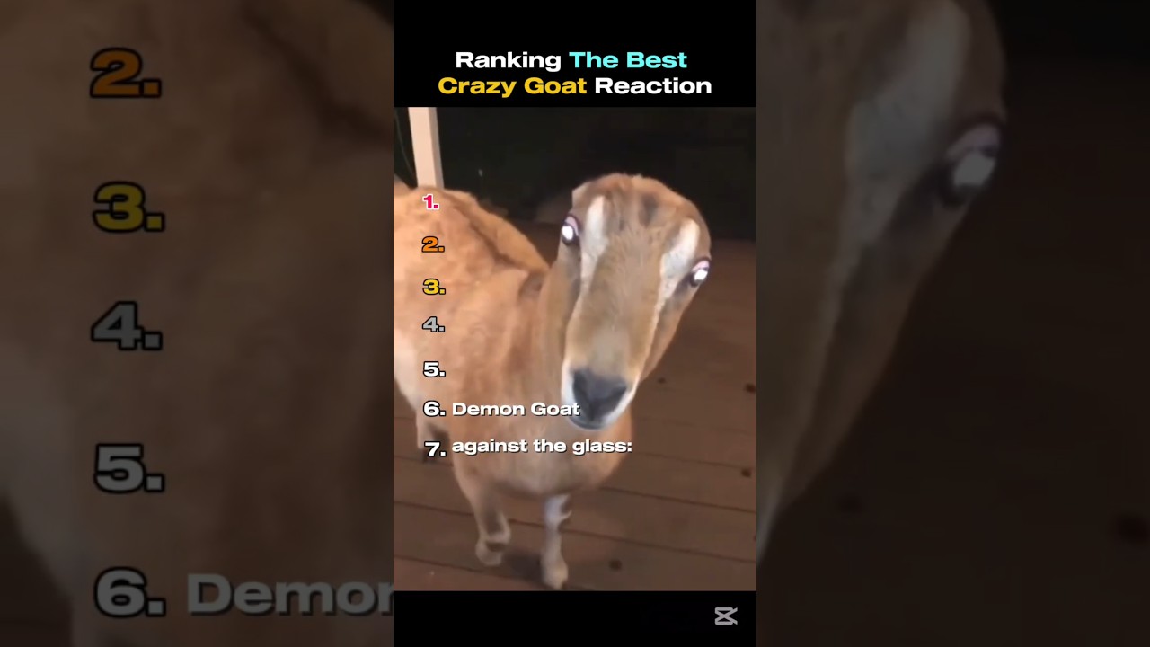 The Best Ranking Goat Moments🐐 