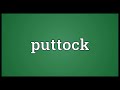 Puttock Meaning