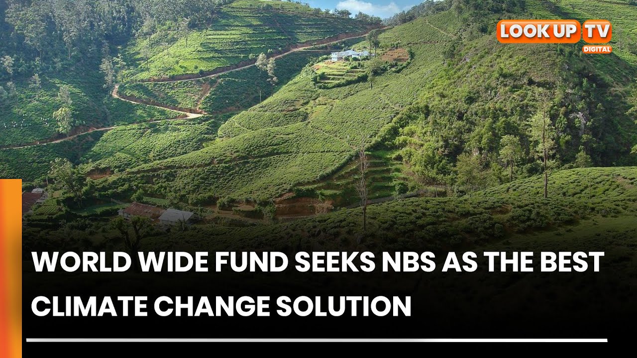 World Wide Fund Seeks NBS As The Best Climate Change Solution - YouTube