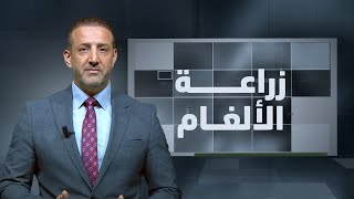 الألغام.. الجريمة الممتدة للمستقبل