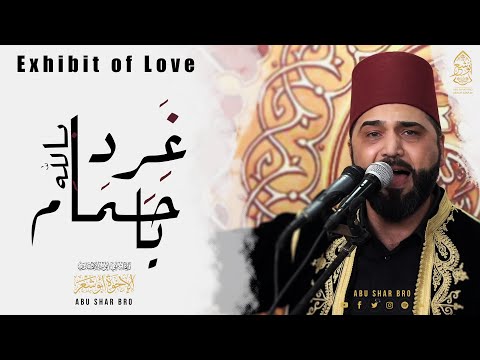 بالله غرد يا حمام الإخوة أبوشعر مباشر          