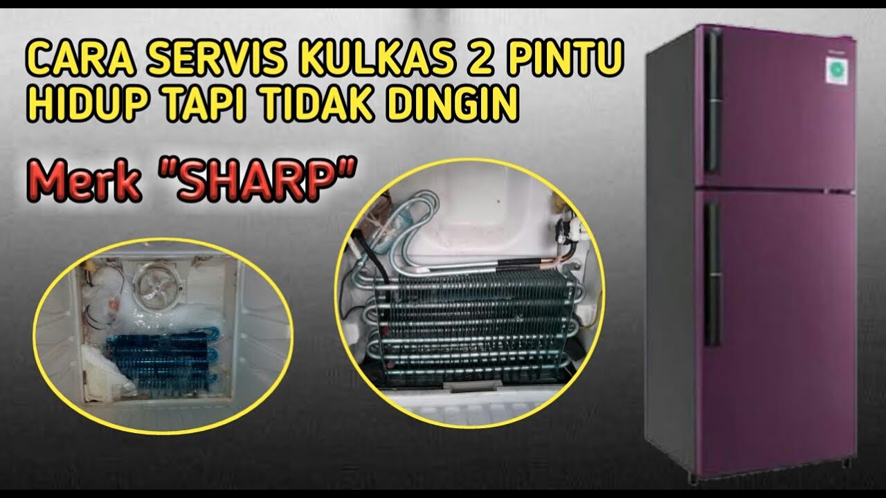 Cara Servis Kulkas 2 Pintu Sharp Tidak Dingin YouTube