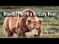 Alaskan Brown Bear Standoff at Caribou Kill