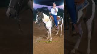 como fazer pro cavalo não ficar batendo o rabo  #cavalo #doma #horse  #muar #muares #redeas