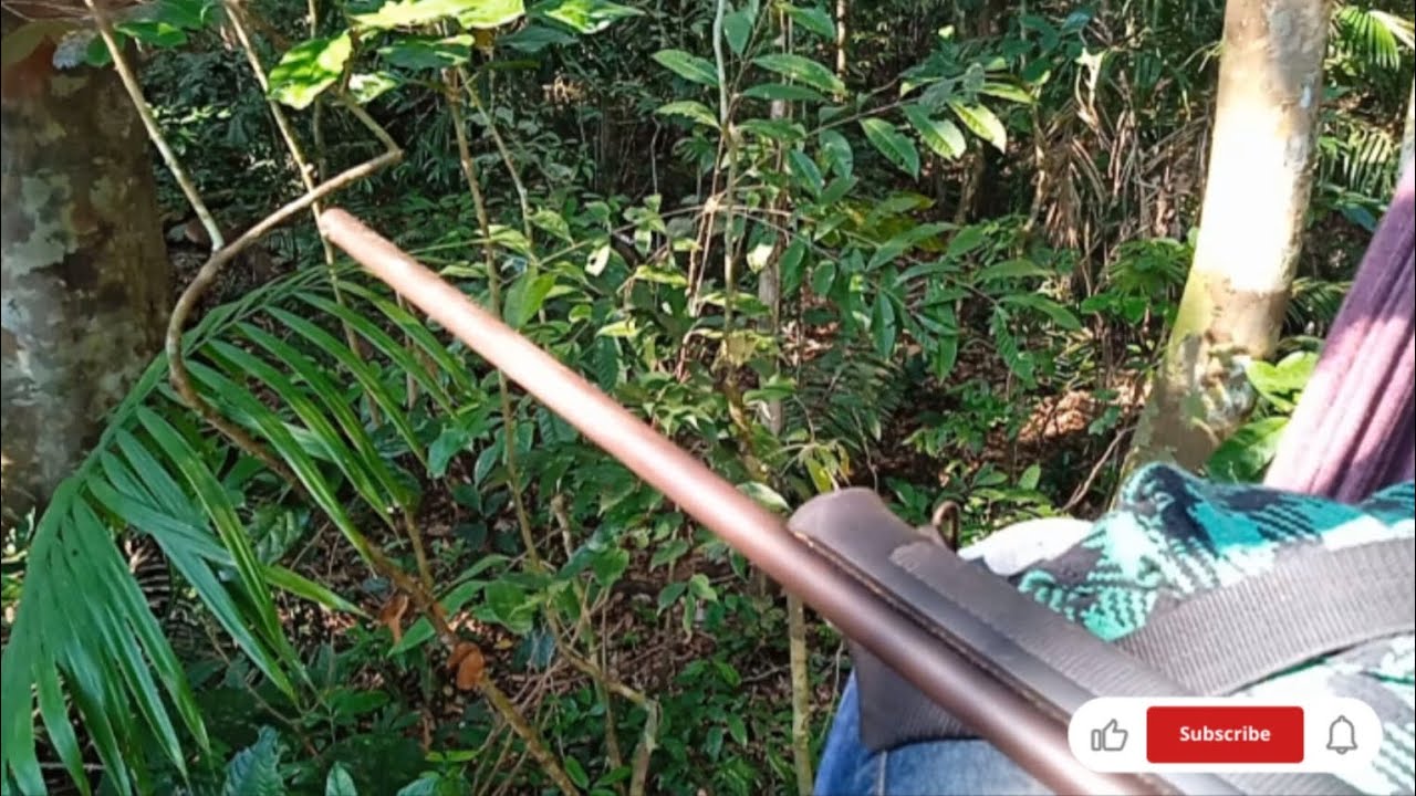 espera de mateiro,na copaíba deu boa!!