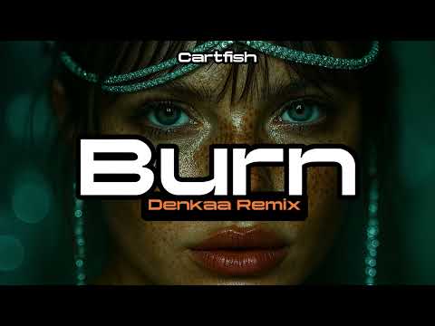 Cartfish Burn Denkaa Remix 