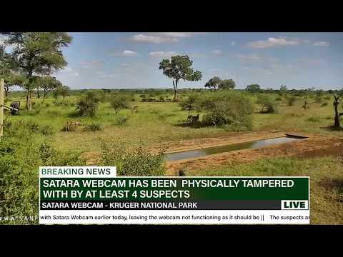 Suspects tamper with Satara webcam in the Kruger National Park