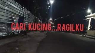 Pencarian Kucing Kesayangan Tengah Malem