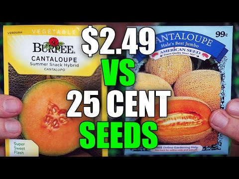 Vidéo: Toutes les Burpee Seeds sont-elles biologiques ?