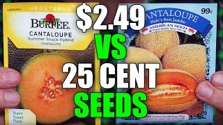 Dollar Store Seeds vs Burpee Seeds | EpicReviewGuys CC