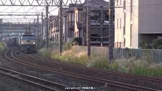JR貨物 EF66 21号機が牽引する1097レを撮影(H26.10.24)