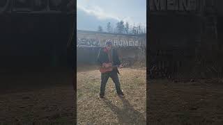play with your poodle #blues #abereid #livemusic #harmonica #countrymusic #poodle