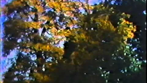 Reel#2 Geraldine's Home Movies