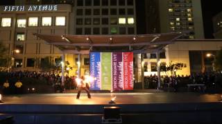 Dragon Staff Solo: 2014 Fire Dancing Expo Act 27: Mochitoki