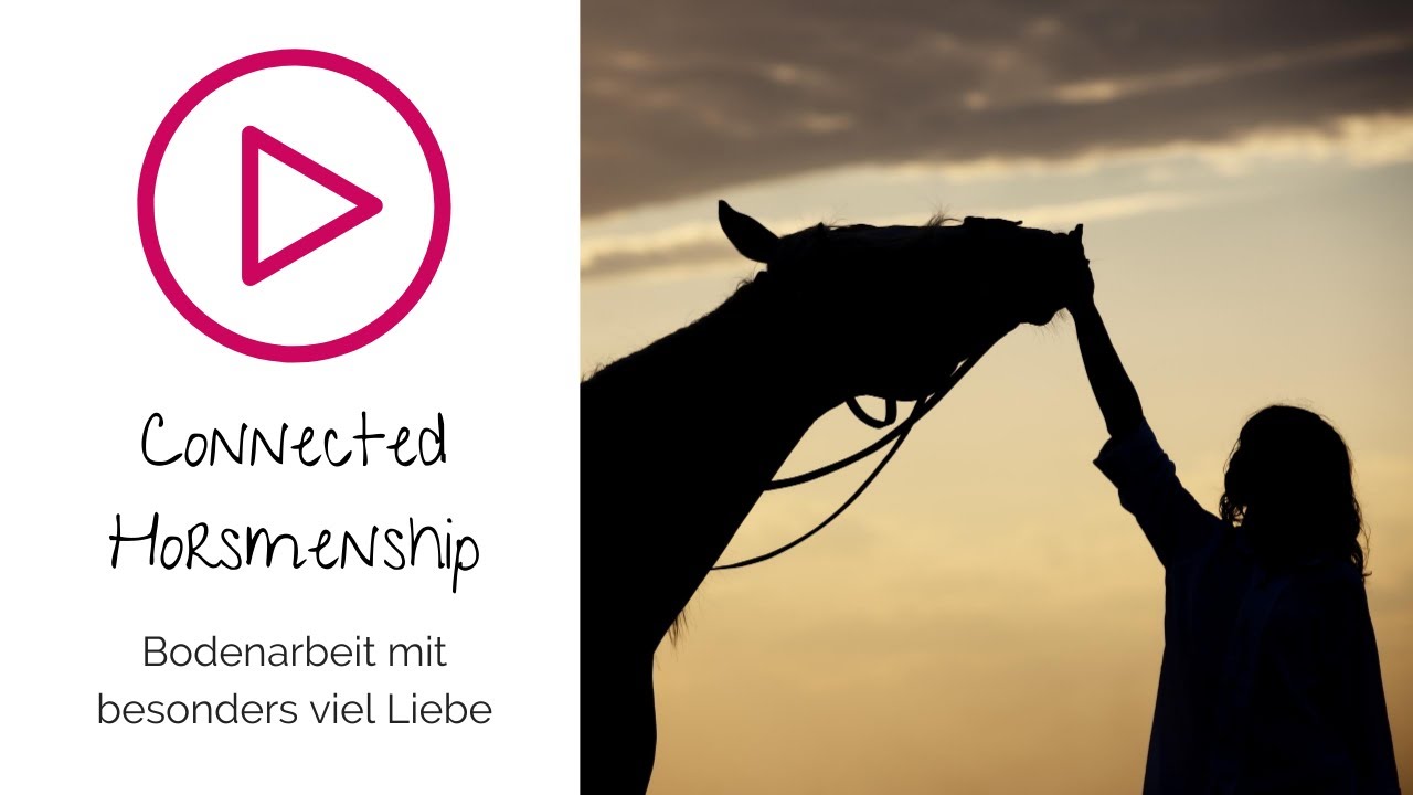 Meridith Ransley Bodenarbeit mit Connected Horsemanship (Quantum Savvy mit Meredith ...