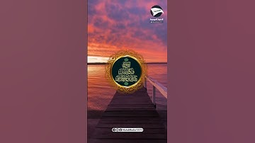 معنى اليوم في الآية { لِمَن شَاءَ مِنكُمْ أَن يَتَقَدَّمَ أَوْ يَتَأَخَّرَ}