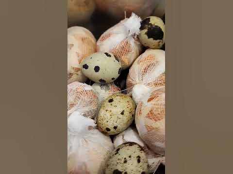 Натуральная краска для яиц #пасха2023 #сторисмейкер - YouTube