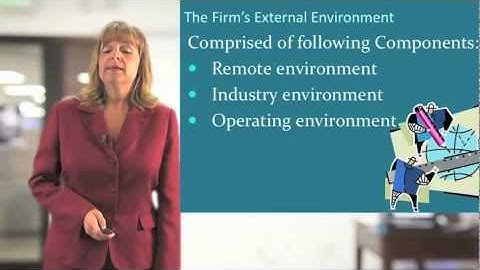 Understanding the Firm