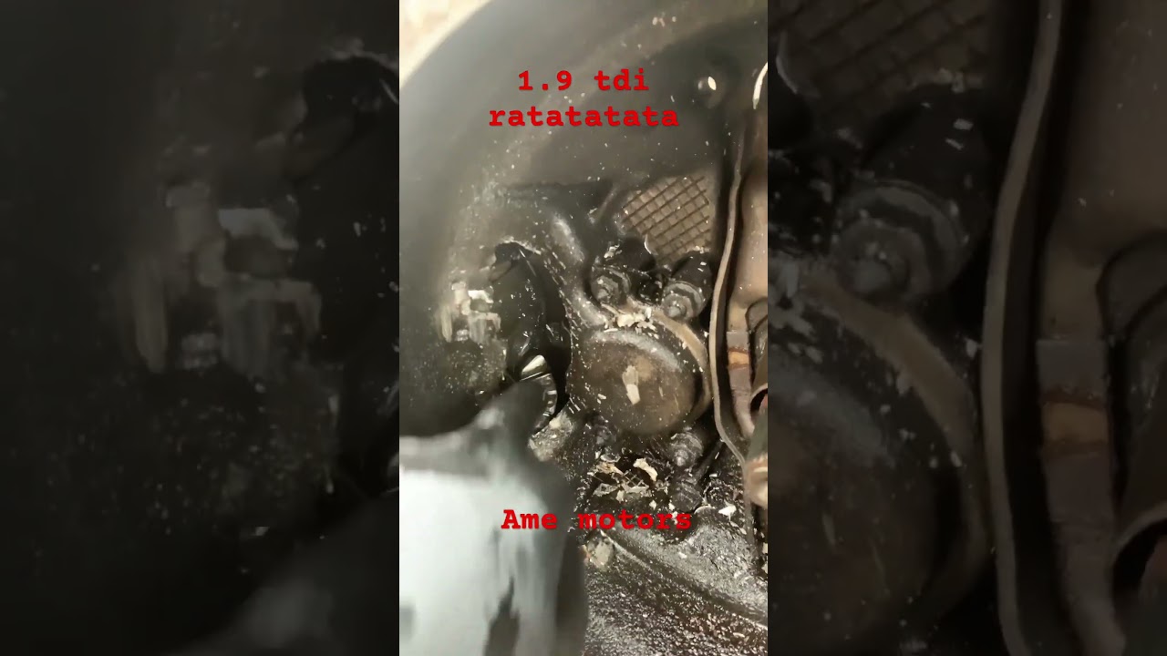 Gearbox nose?😂😂😂