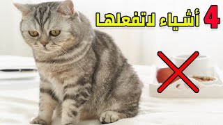 كيف تعتني بقطك أثناء غيابك عن المنزل ؟