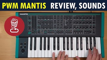 Review: PWM Mantis // Here