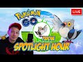 Pidove Shiny Spotlight Hour Live | Pokemon GO