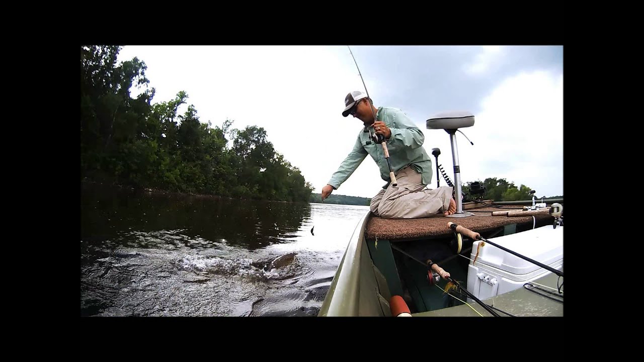 Mississippi Smallies like the Cheemo!