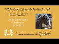 13  vincent wei  colt by schwarzgold  silvermoon 26042022