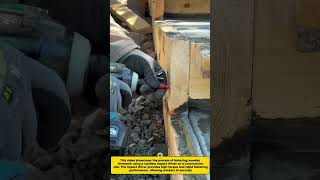 Efficient Wooden Formwork Fastening with a Cordless Impact Driver | Modern Construction Technology