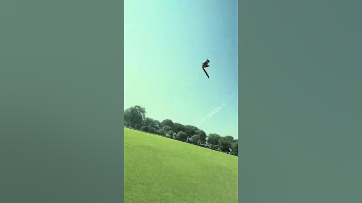 My Sugar Glider Was Caught By An Eagle. This Is A Sad Video #cute #pets #sugary