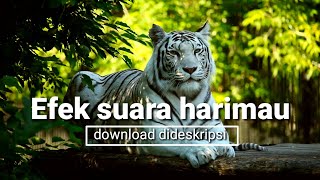 EFEK SUARA HARIMAU untuk Nada Pesan Handphone