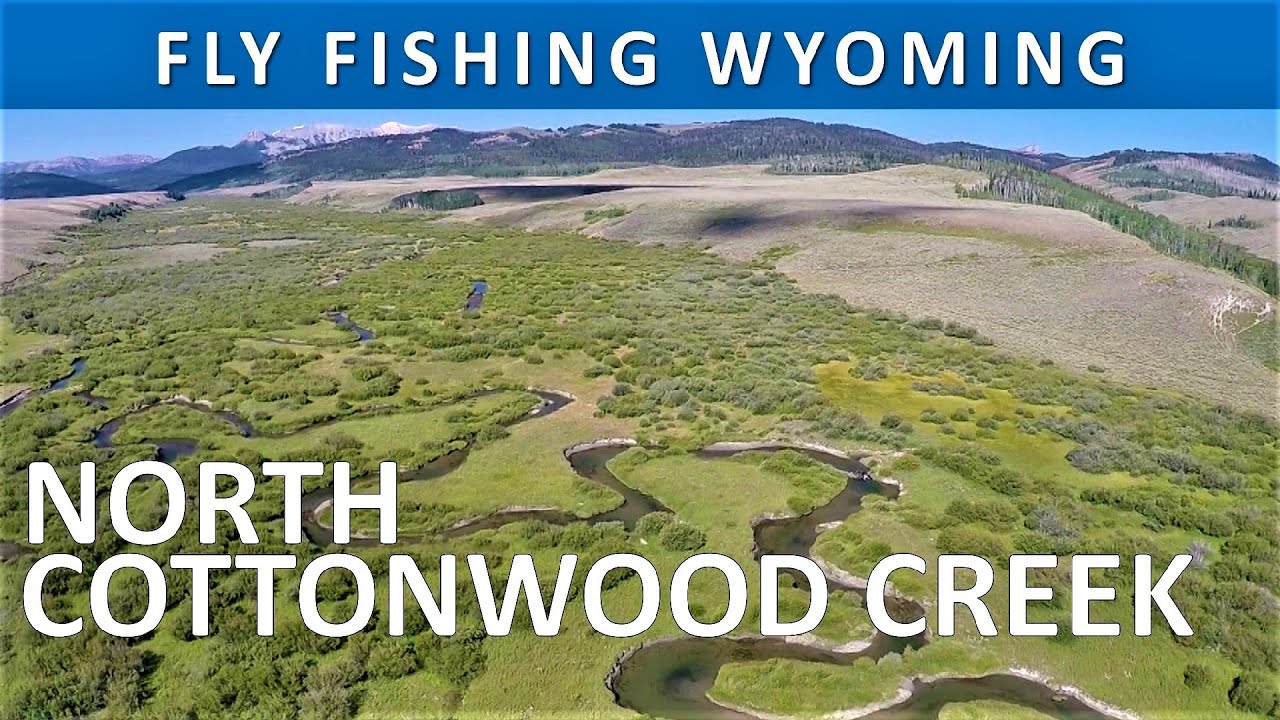 Fly Fishing Wyoming's North Cottonwood Creek [Series Episode 42] YouTube