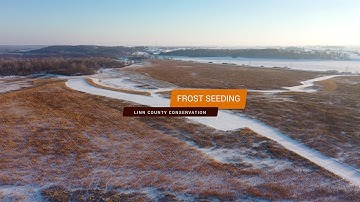 Frost Seeding: Supporting our Pollinators