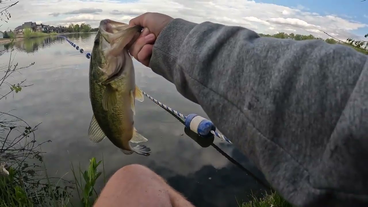 BASS Fishing in a nice pond