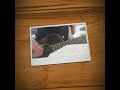 【フォークソング弾き語ってみた】吉田拓郎 友あり