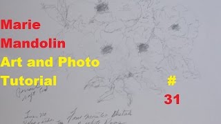 Marie Mandolin ~ Art And Photo Tutorial # 31