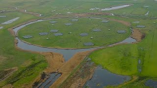 LOFAR super-telescope reveals the far reaches of the universe