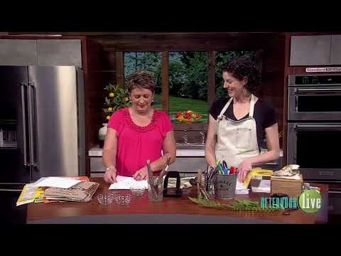 KATU Portland Afternoon Live | DIY Nature Journal | Katherine Roy