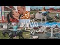 VLOG|| ЛЮБИМЫЙ ПАРК// КОННЫЙ ПАРК РУСЬ