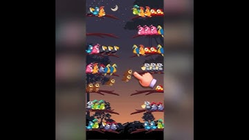 250609 EN BirdSort2 HUYDL 06a25 S 30