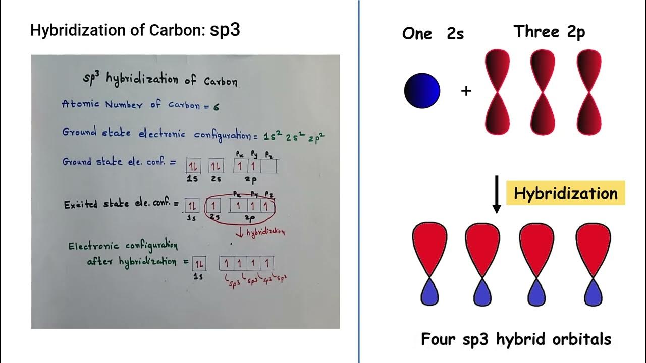Hybridization of Carbon: sp3, sp2, sp - YouTube