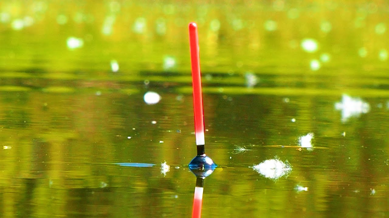 РЫБАЛКА НА ПОПЛАВОК! ЛОВЛЮ КАРАСЕЙ НА ЛЕСНОМ ОЗЕРЕ! Рыбалка на удочку! Поплавок крупным планом.