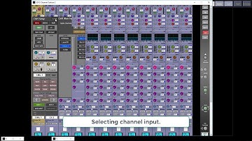 DiGiCo SD Channel Strip Input Area - Phase Reverse - Trim - Channel Assign